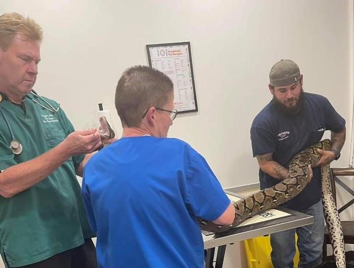 Vets for store snakes near me